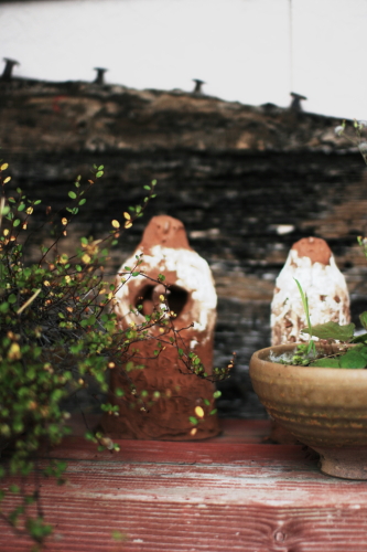 f0093592_0493918.jpg