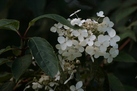 d0133693_16305750.jpg