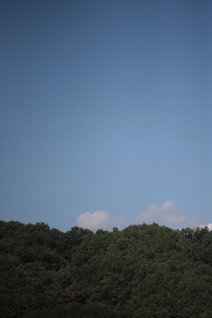 d0133693_557822.jpg