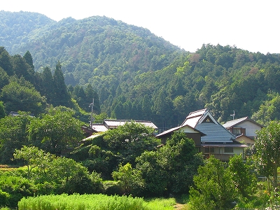f0181394_2040107.jpg