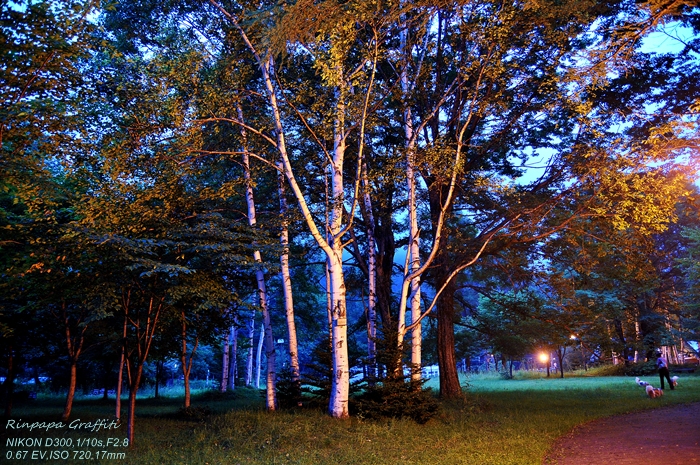 a0103596_2274853.jpg