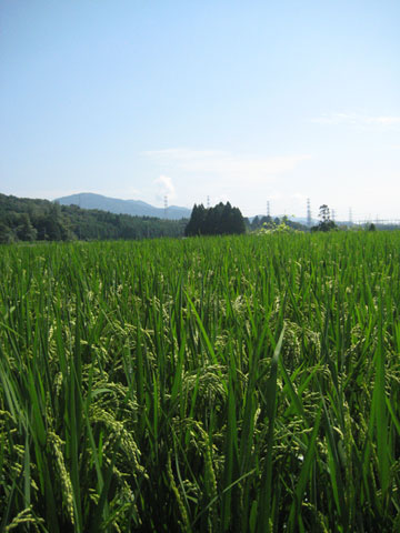 b0097200_019119.jpg