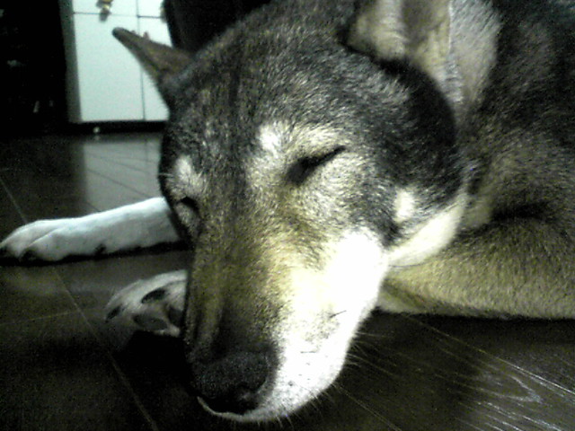f0079202_22382221.jpg