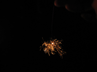 d0076603_535721.jpg