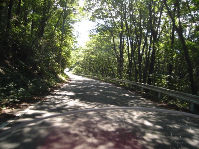 a0116205_22312797.jpg