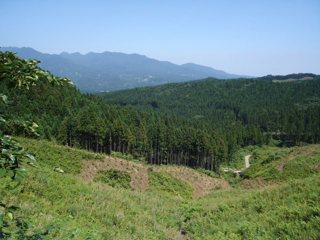 a0116205_2231426.jpg