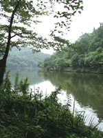 d0107605_12281275.jpg