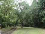 d0107605_12282924.jpg