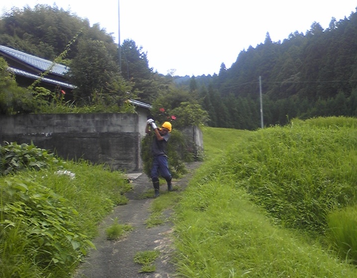 f0135608_8134687.jpg