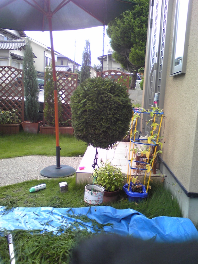 f0135608_813890.jpg