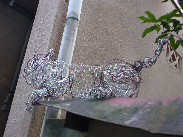 c0107615_1645046.jpg