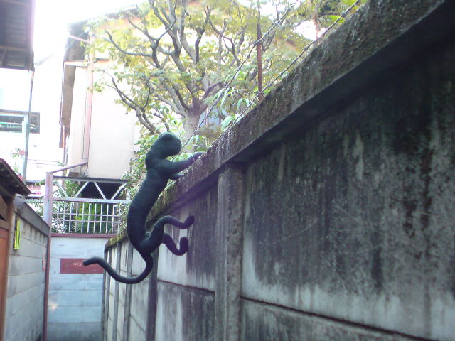 c0107615_1652441.jpg