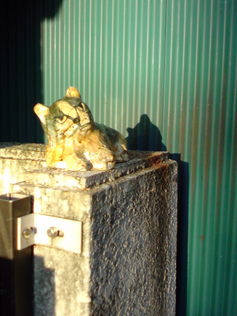 c0107615_1675378.jpg