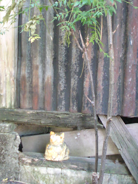 c0107615_168238.jpg