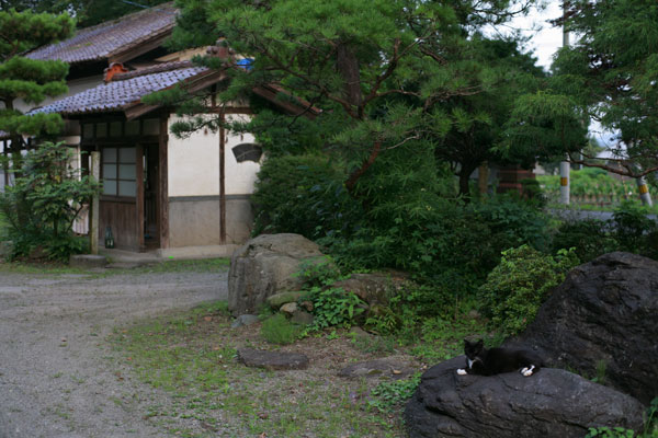 f0056516_22522723.jpg
