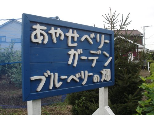 e0003819_631595.jpg