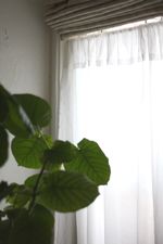 c0139023_205915.jpg