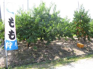 f0177125_1113892.jpg