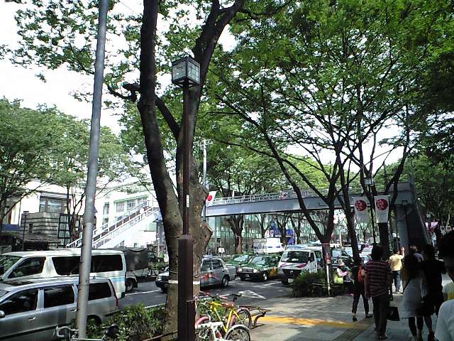 e0071026_1338597.jpg