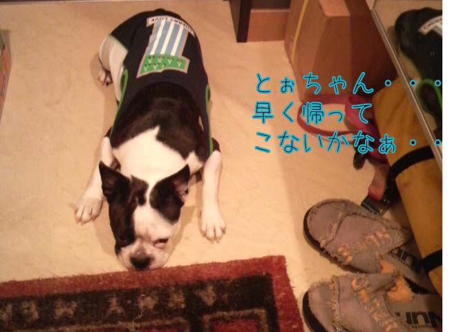 f0190426_17115289.jpg