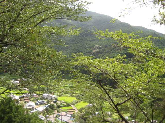 d0147727_7192839.jpg