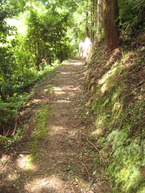 d0147727_764555.jpg