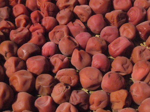 d0075131_23213468.jpg