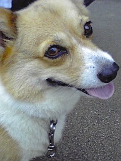 b0152433_2051751.jpg