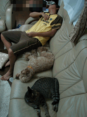 c0136736_21544692.gif