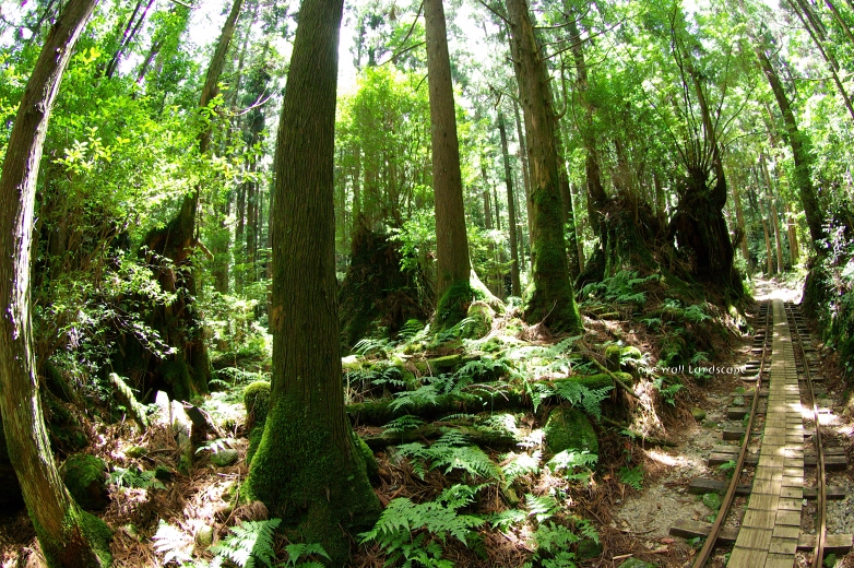 f0049438_2134384.jpg