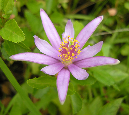 a0001354_21383956.jpg