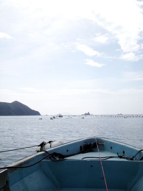 f0196054_17273638.jpg
