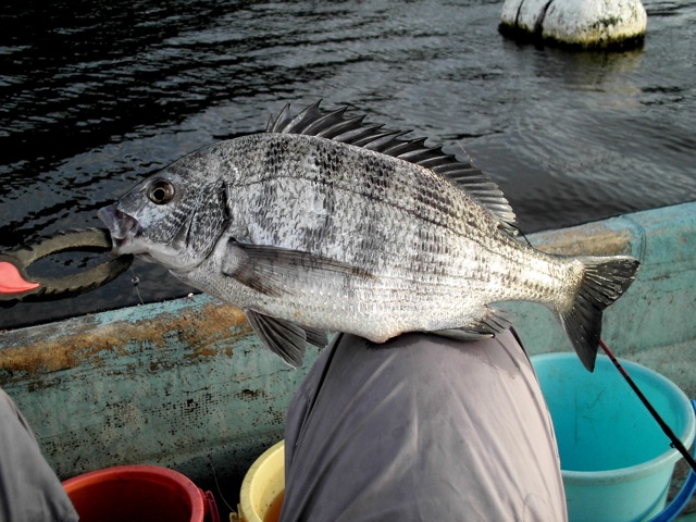 f0196054_17412894.jpg