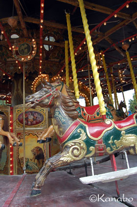 f0099556_537117.jpg