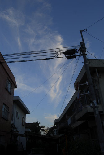 e0140459_2205644.jpg