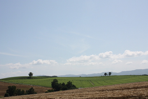 c0107861_2123593.jpg