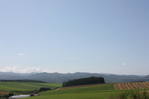 c0107861_213197.jpg