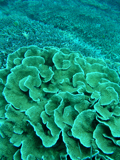 b0062363_2213111.jpg
