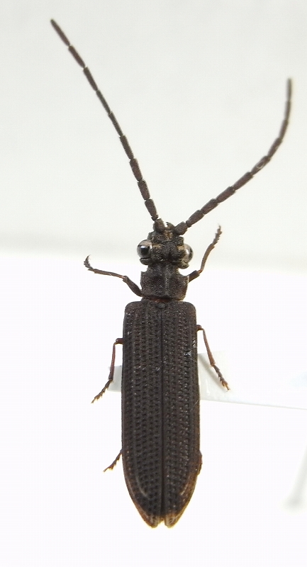 c0142963_0121123.jpg