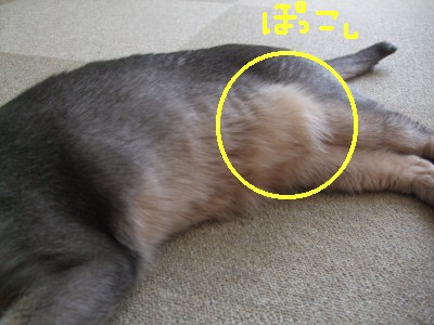 c0139765_0201311.jpg