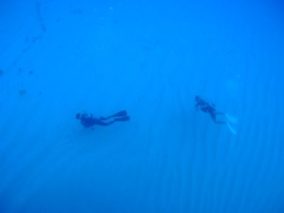 e0184067_13143976.jpg