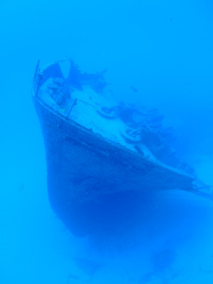 e0184067_1314486.jpg