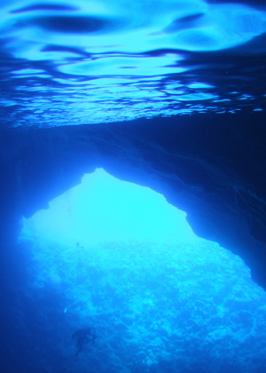 e0184067_1316919.jpg