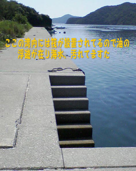 c0169168_12145884.jpg