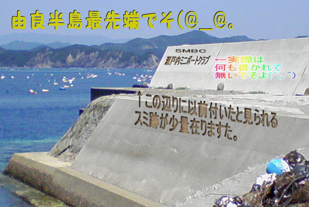 c0169168_12294337.jpg