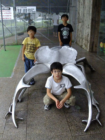 d0095673_18461775.jpg