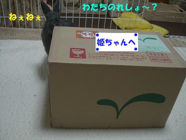 e0162273_14552668.jpg