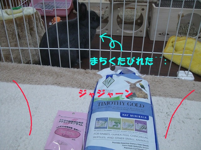 e0162273_14573794.jpg