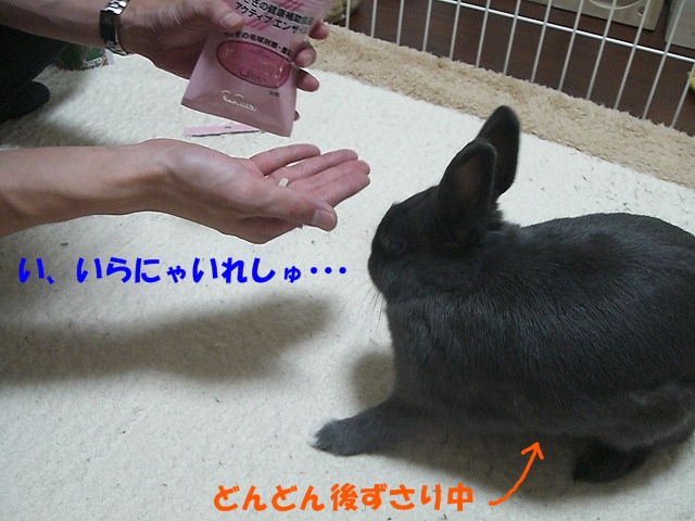 e0162273_1524177.jpg