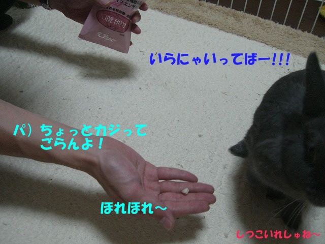 e0162273_1532351.jpg
